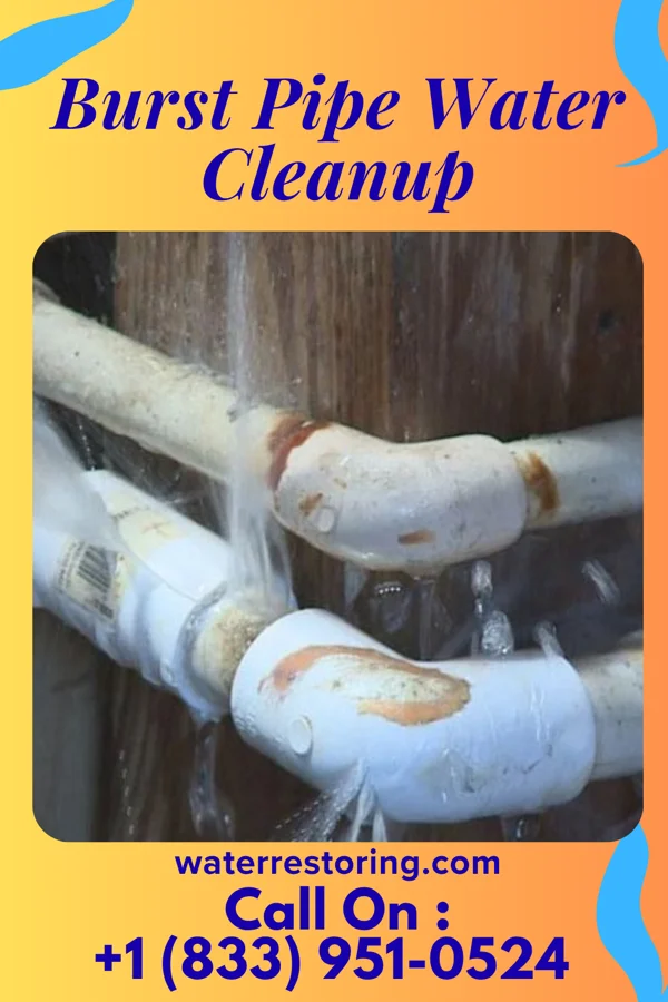 Burst Pipe Water Cleanup in Montross, VA
