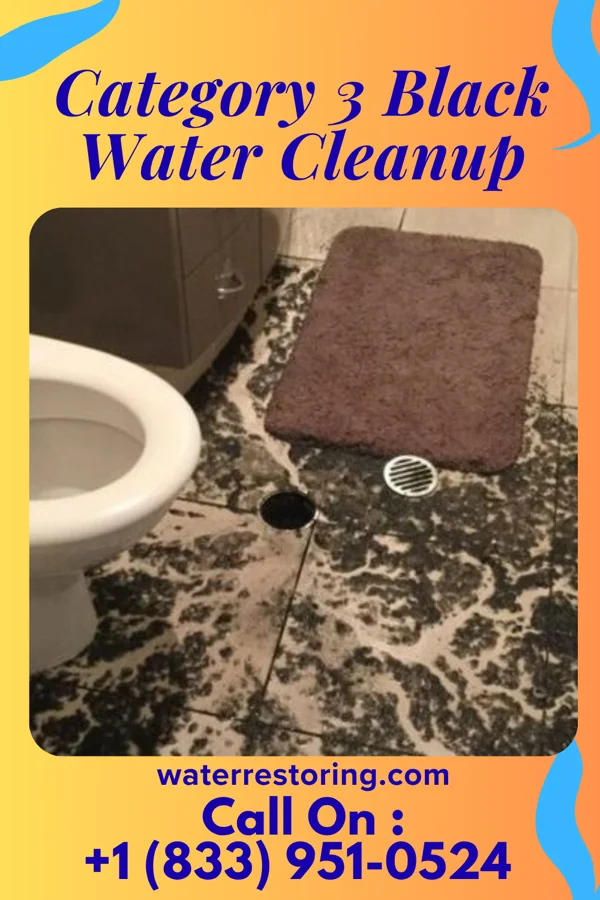 Category 3 Black Water Cleanup in Montross, VA