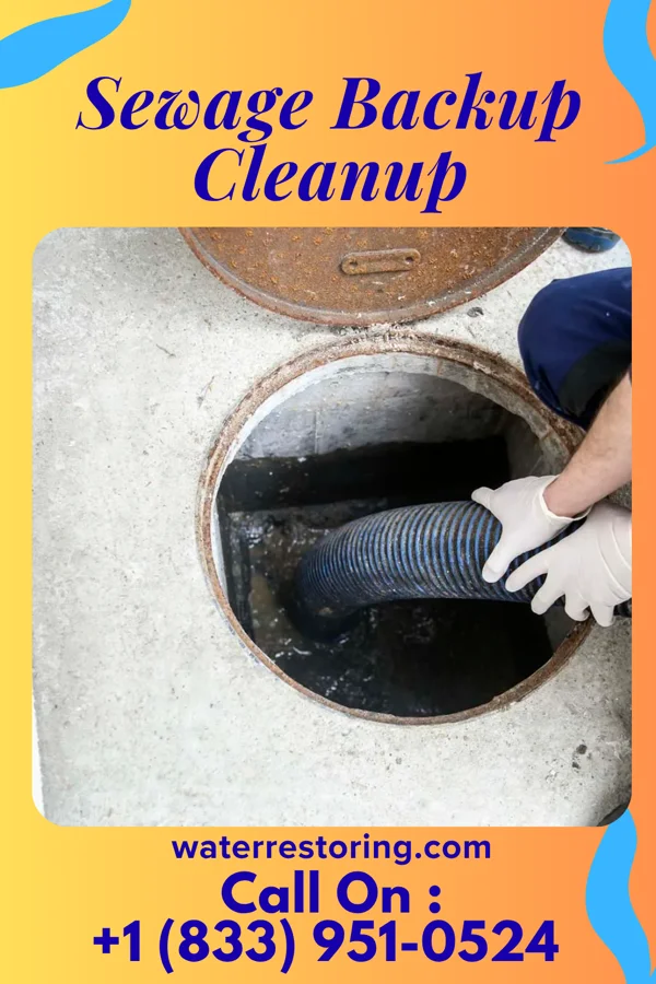 Sewage Backup Cleanup in Montross, VA