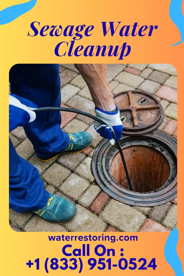 Sewage Water Cleanup in Montross, VA